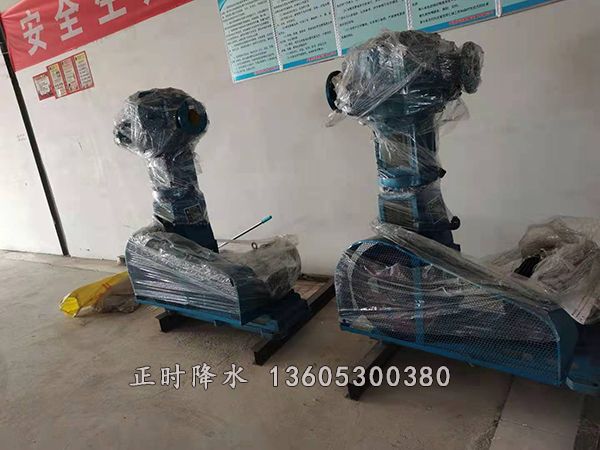 往復式大真空降水泵